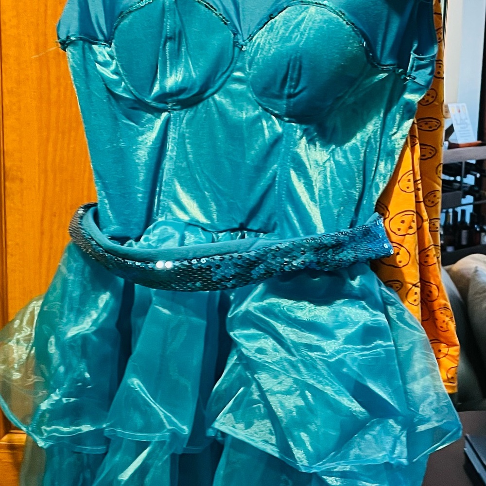 Ladies Cookie Monster Costume